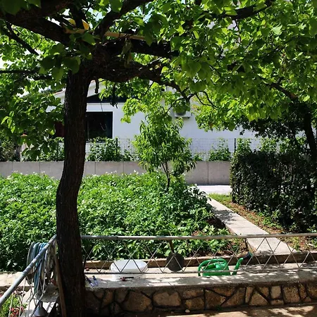 & Samohod 3* וודיצה