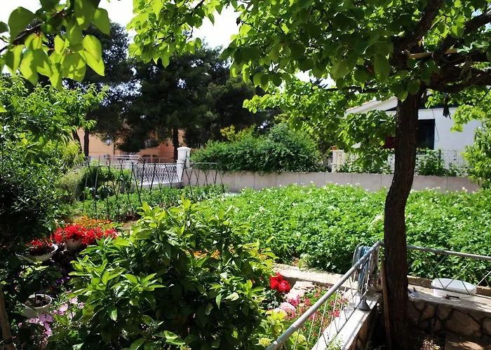 & Samohod 게스트하우스 3*