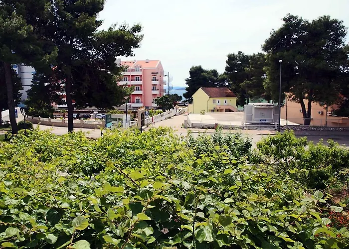 게스트하우스 & Samohod