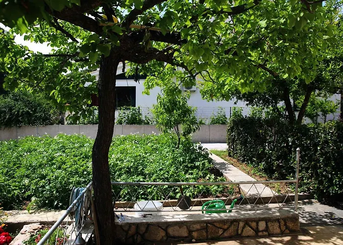 & Samohod 3* 보디체