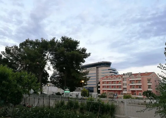 & Samohod 게스트하우스 보디체